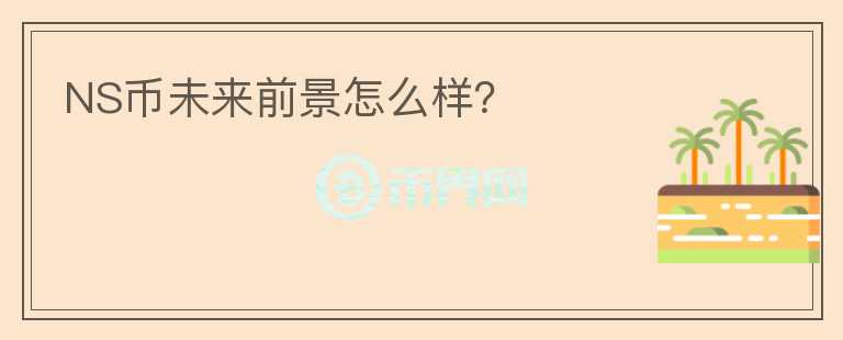 NS幣未來前景怎么樣？