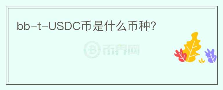 bb-t-USDC幣是什么幣種？